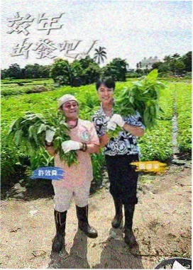 深夜观影指南末班地铁广播海报